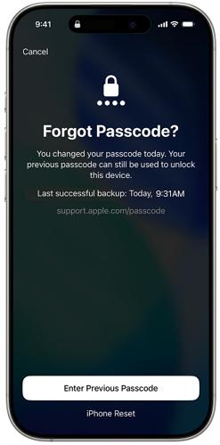enable Expire Previous Passcode Now | Reset iPhone Passcode Without Data Loss