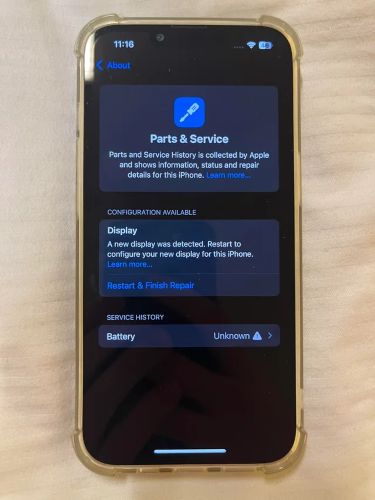 faulty hardware | iPhone Blue Screen of Death