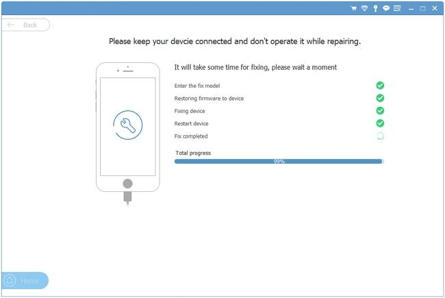 Standard Mode diagnosis | iPhone Blue Screen of Death