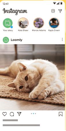 check Instagram | recover permanently deleted iPhone photos without backup