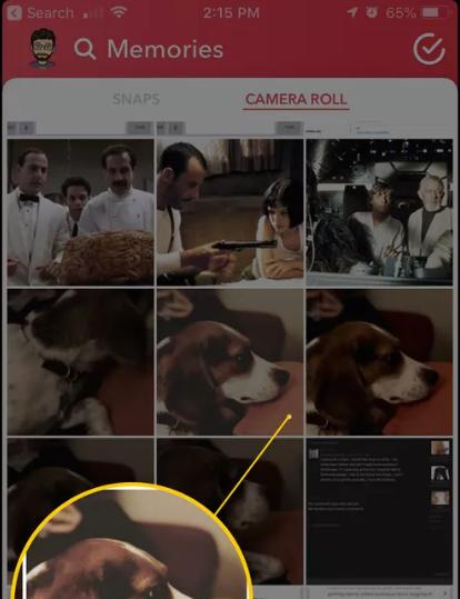 see Snapchat | recover permanently deleted iPhone photos without backup