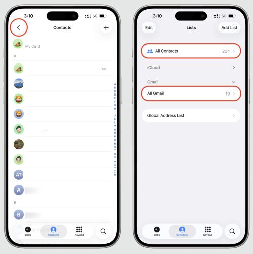 check Lists | Recover Contacts from iCloud to iPhone