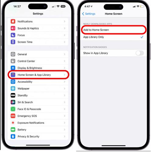 tap Home Screen & App Library | Restore Missing Apps on iPhone