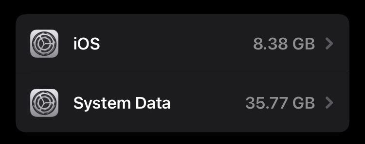look for System Data | iPhone Blue Screen of Death