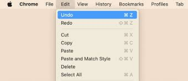 Undo the Deletion Immediately | recover deleted files on mac